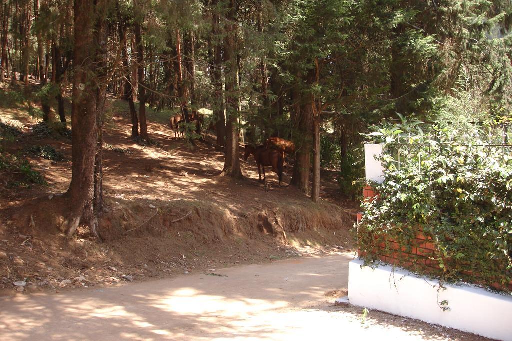 The Red House 