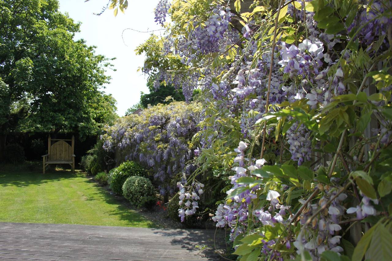 Balmer Lawn Hotel 