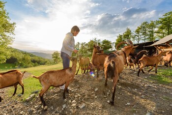 Agriturismo Casa Passerini A Firenze Pet-Friendly