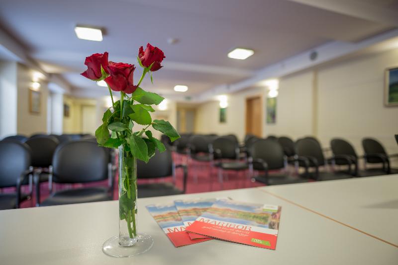 Hotel Tabor (هتل تابور) Conferences