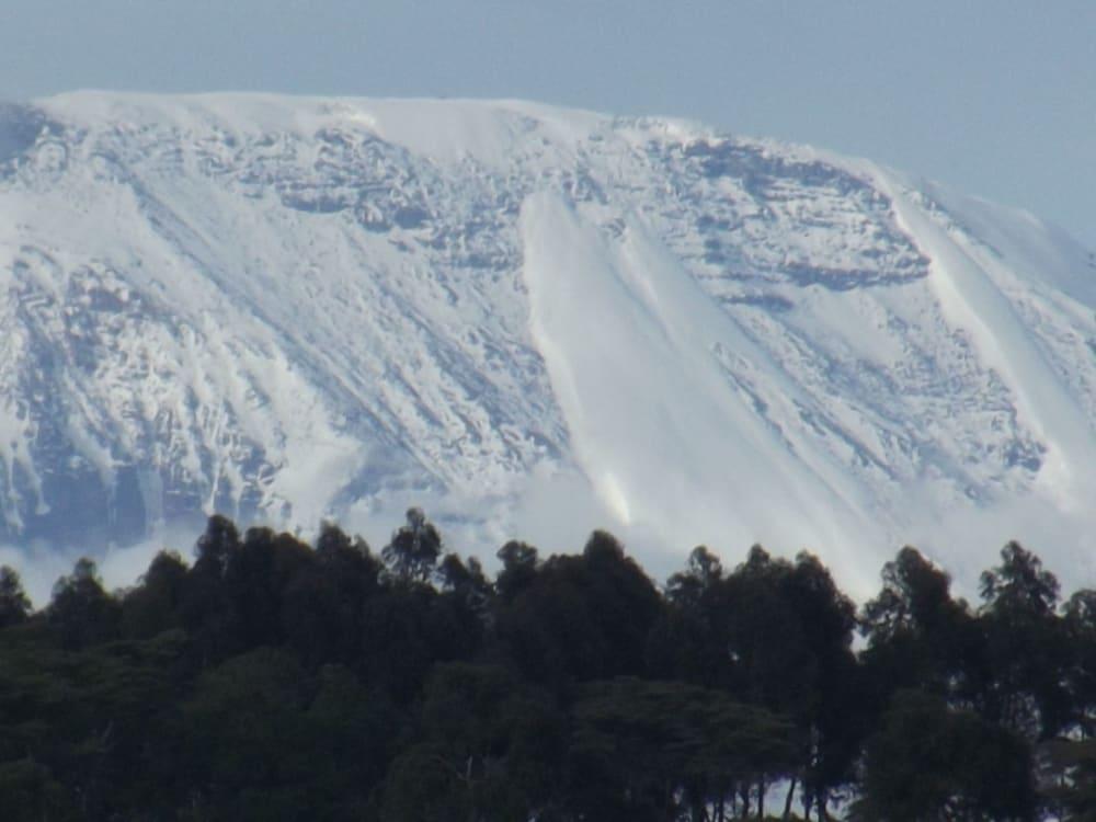Kaswende Farm (كاسوند فارم) 