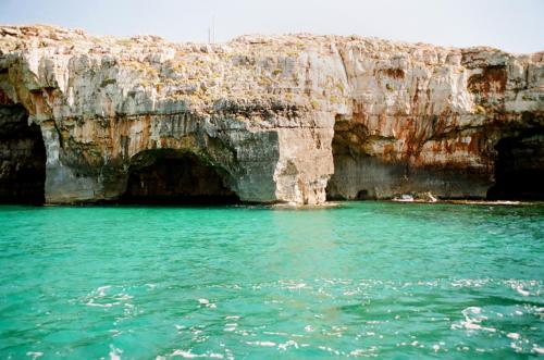 Nepole Home Holiday (نپول هوم هالیدی) 