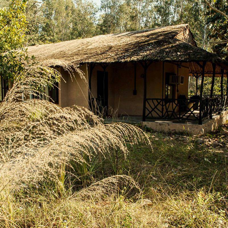 Jim's Jungle Retreat General view