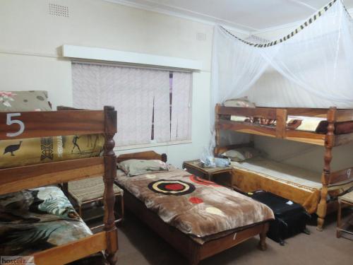 Birdnest Backpackers Hostel 