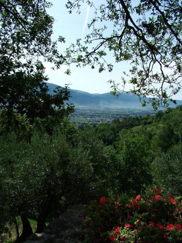Casale Degli Ulivi 