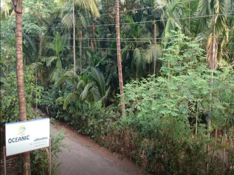 Oceanic Guest House 