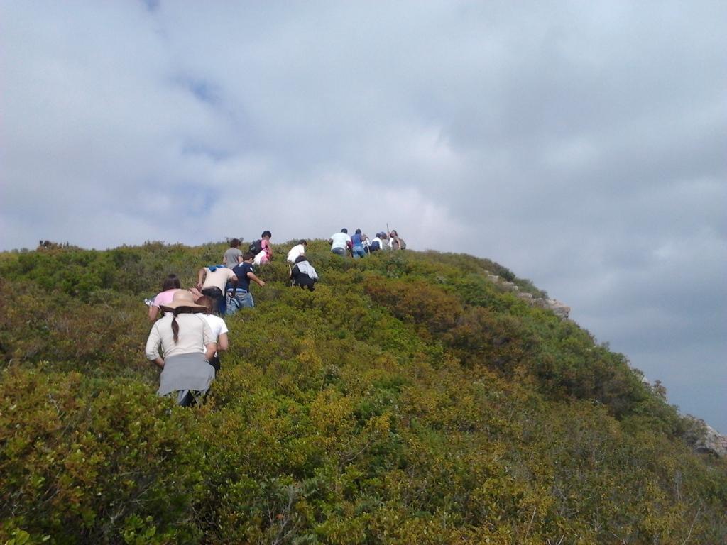 Biovilla Sustentabilidade 