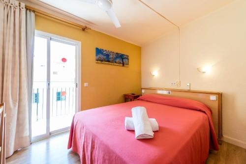 Hostal Residencia Europa Punico 