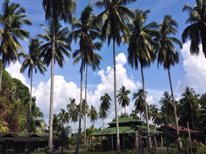 Fishing Bay Resort 