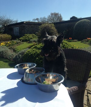 Greywalls Hotel & Chez Roux Pet-Friendly