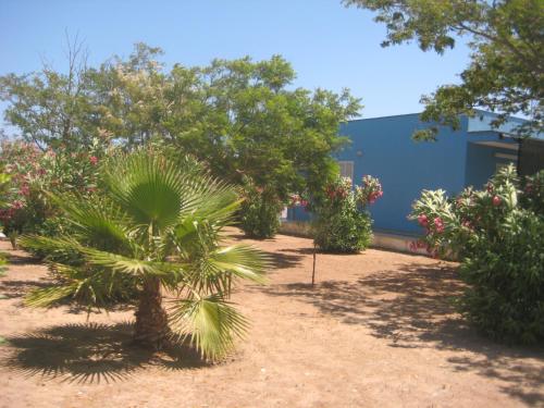Casa Blu 