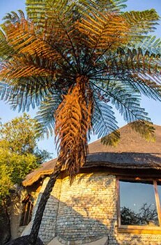 Lodge At The Ancient City Exterior