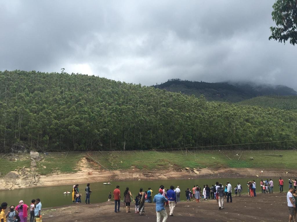 Purple Munnar 