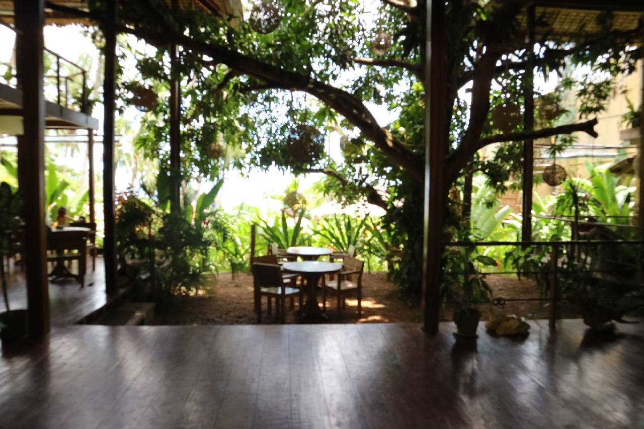 Bluemango Rooms & Villas 