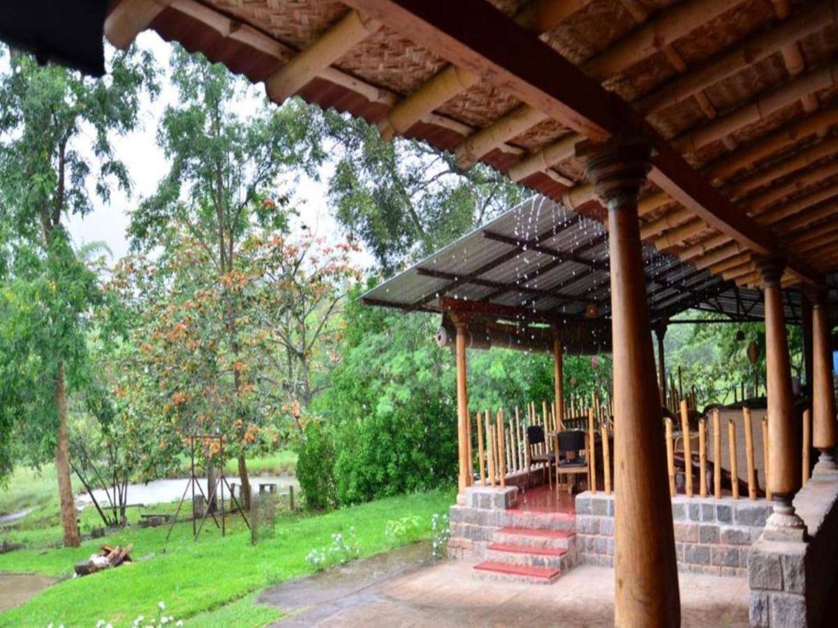 Jungle Hut 