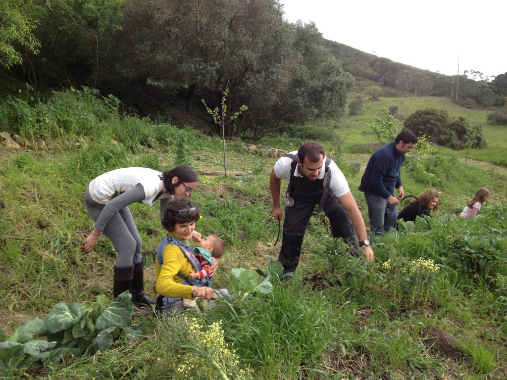 Biovilla Sustentabilidade 
