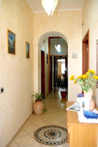 Il Mulino 