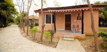 Ashoka's Tiger Trail Resort Guestroom 