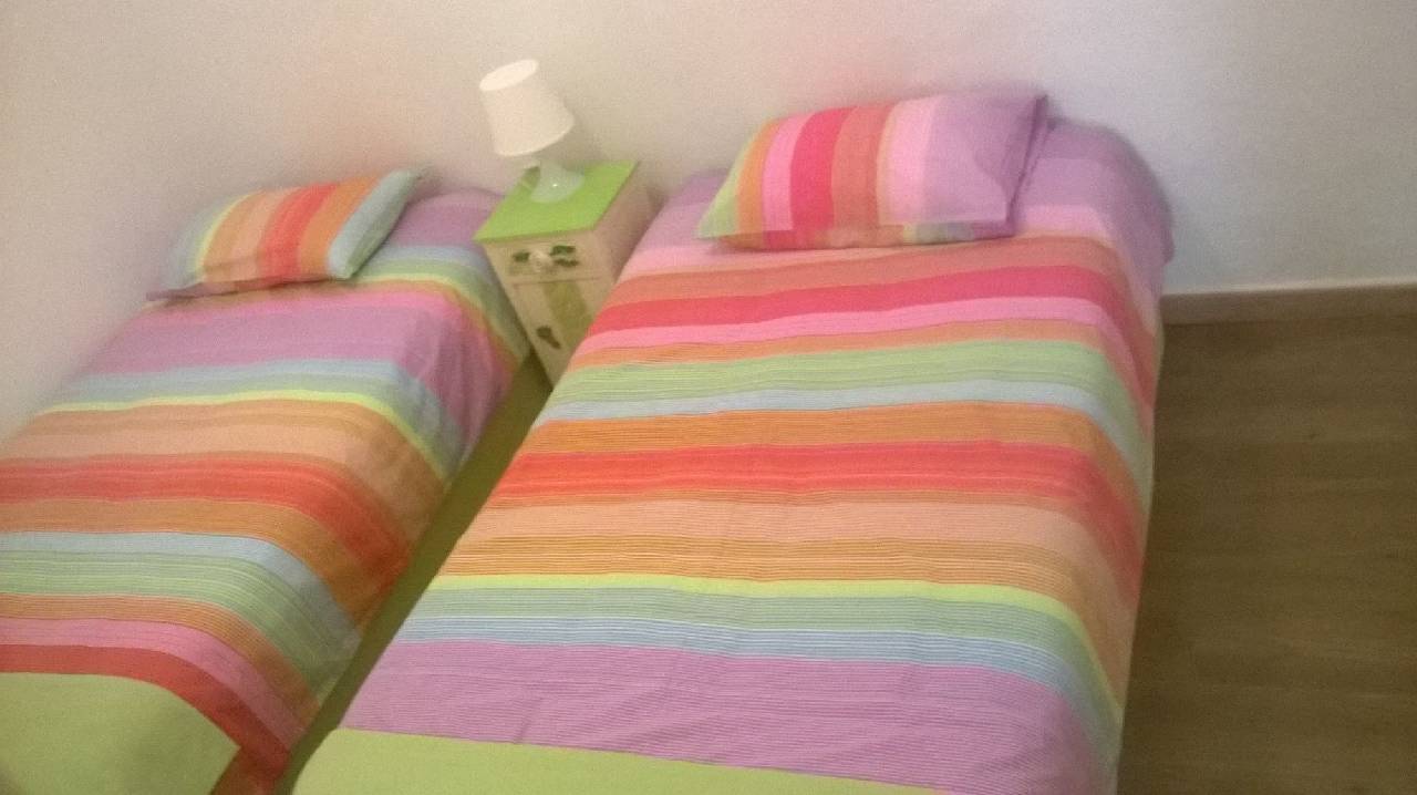 Cats House 