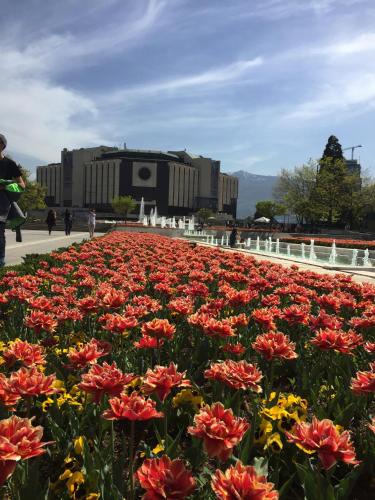 Apartment On Neofit Rilski 