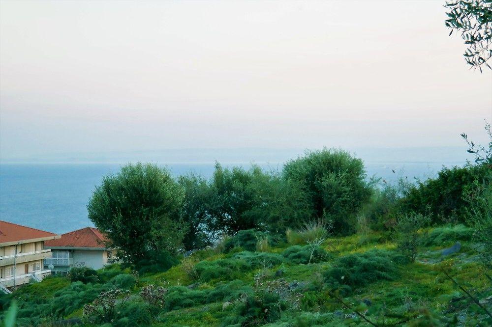 Villa Alba 