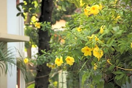 Alamanda Guest House 
