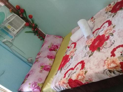 Jed Backpackers Inn 
