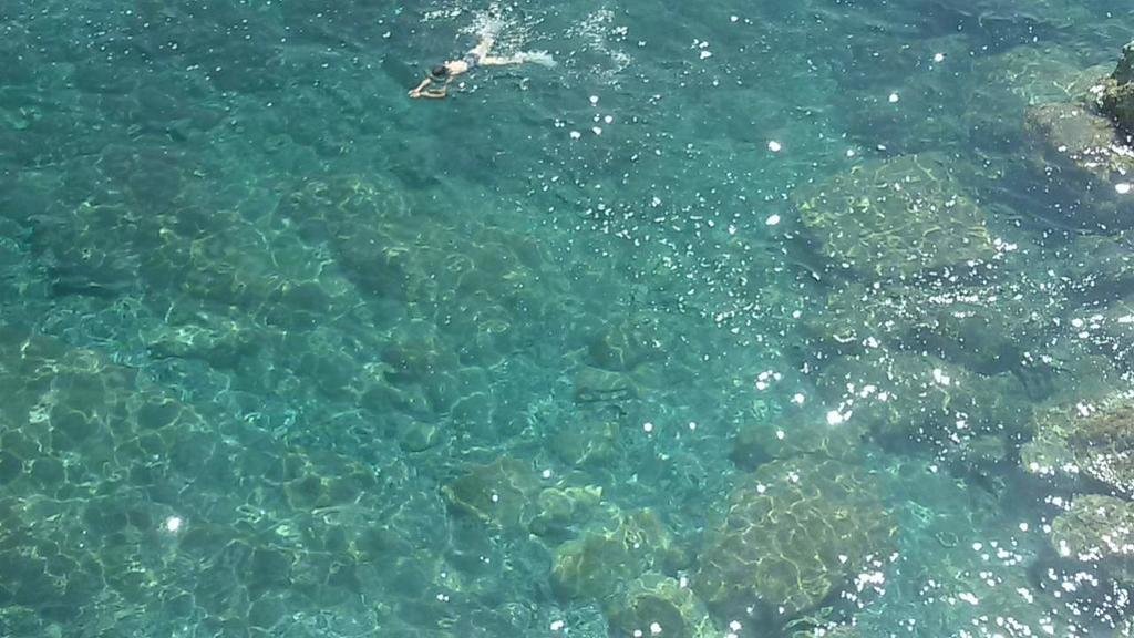 Nido Sul Mare 