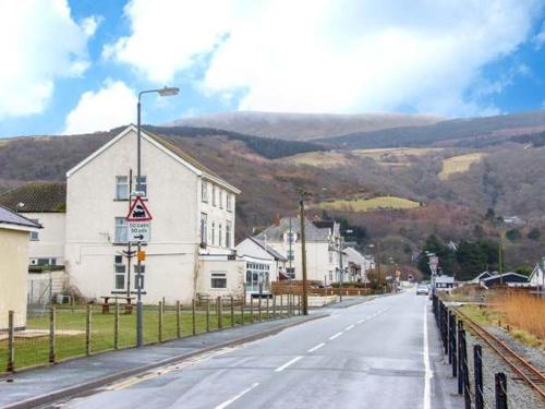 Seagulls Fairbourne 