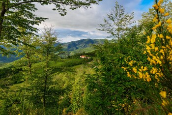 Agriturismo Casa Passerini A Firenze Garden