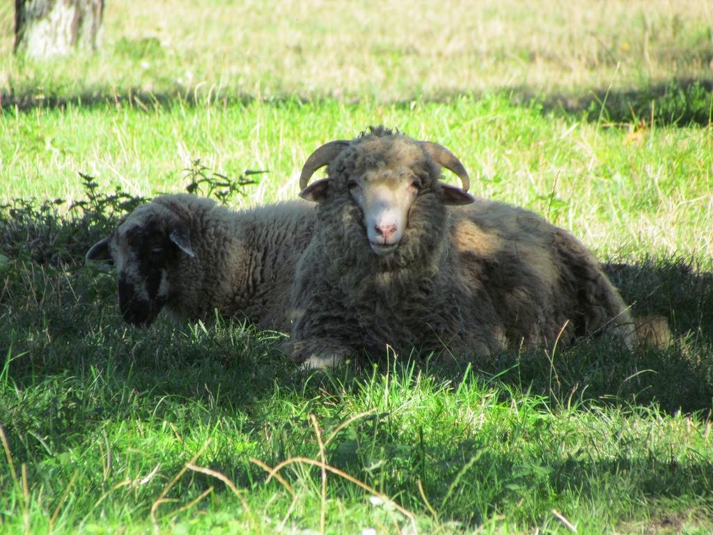Ubytovanie V Sukromi Samuel 