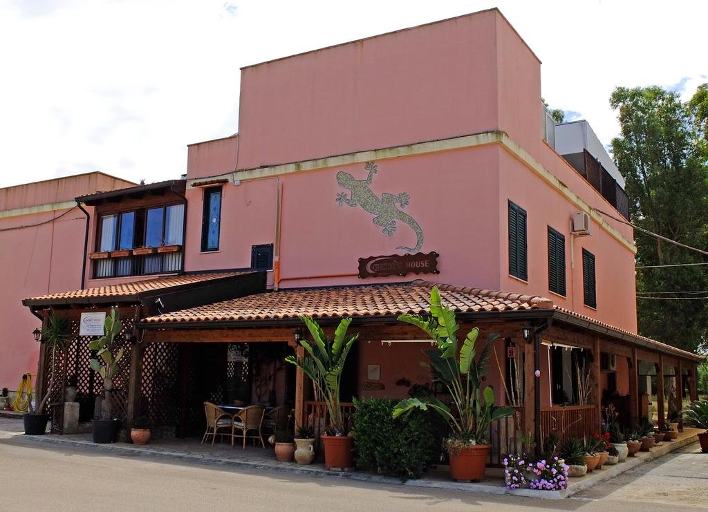 Gecko's House 