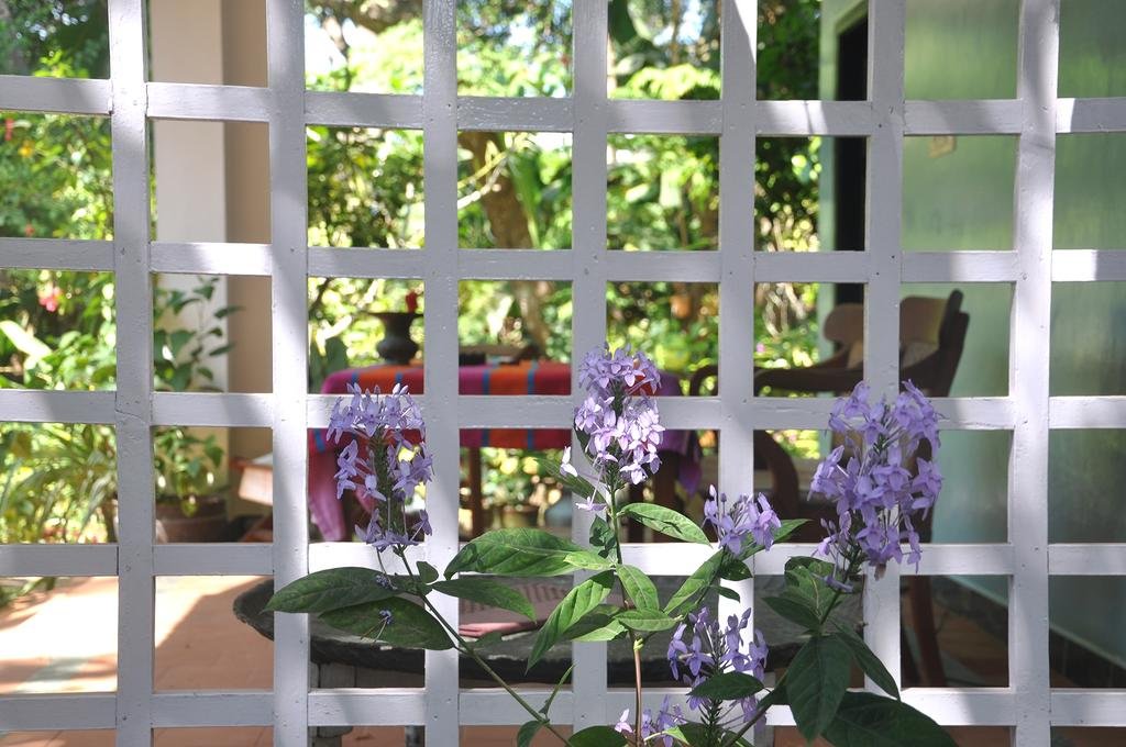 Villa Jacaranda 