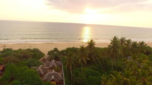 Jungle Beach Camp 