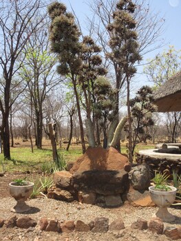 Nona Lodge Courtyard