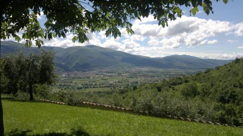 Casale Degli Ulivi 