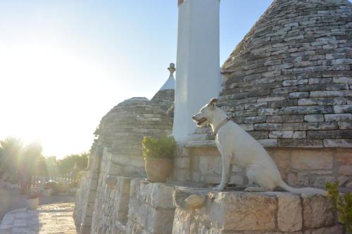 Trulli Il Castagno 