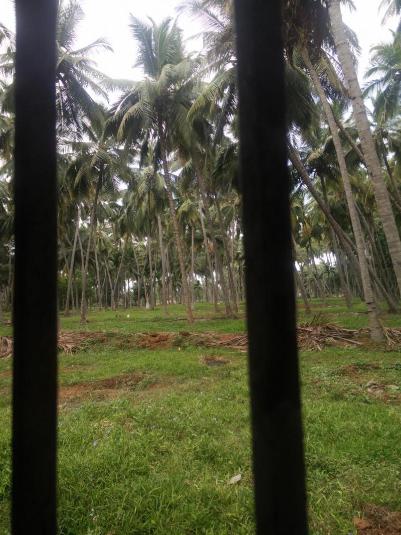 Cloud 9 Stays Mettupalayam 