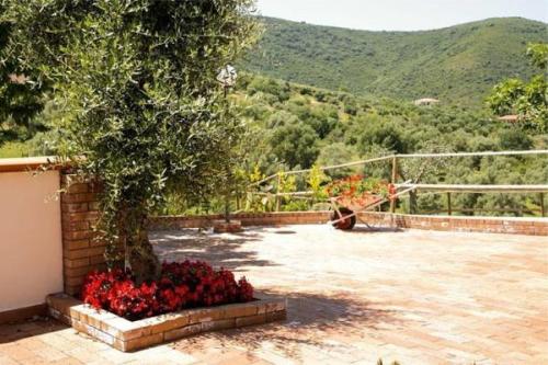 B&b Miglino 