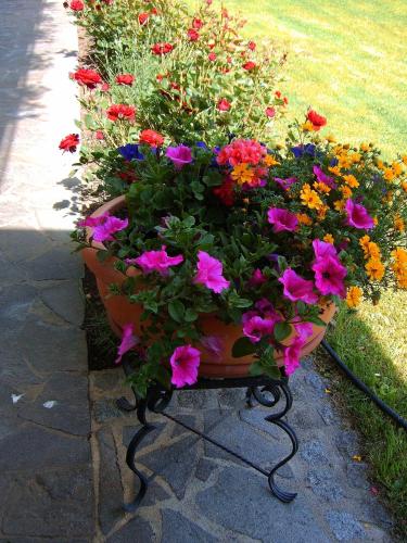 GÄstehaus Frischhut 