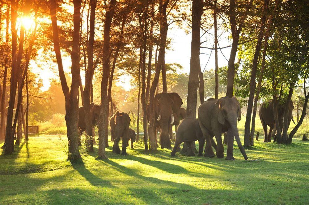 Thorntree River Lodge All Inclusive 