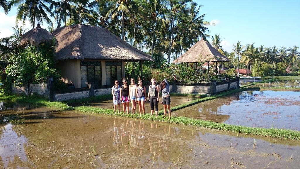 Anita's Ubud Villa 