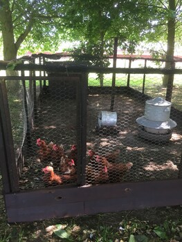 Dawn Chorus Holidays Childrens Play Area - Outdoor
