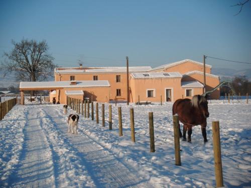 L'ecurie Des Bourricots 