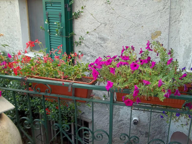 Agriturismo Il Frantoio 