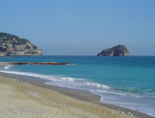 Hotel Delle Palme 