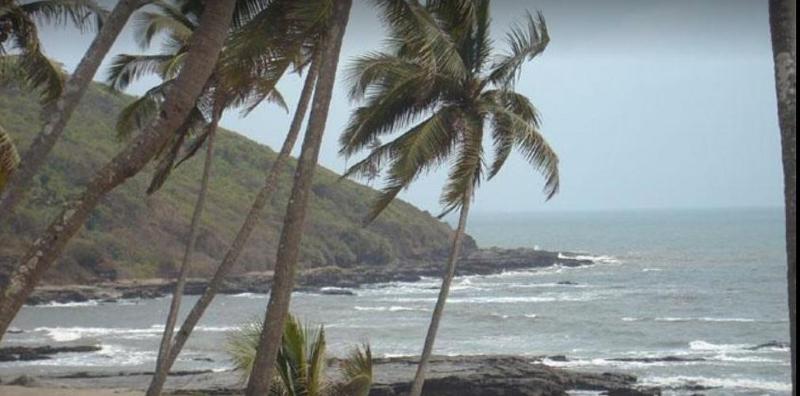 Amigo Anjuna General view