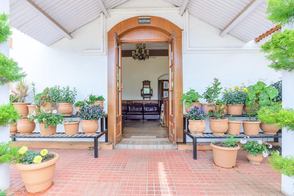 Treebo Yantra Leisures 