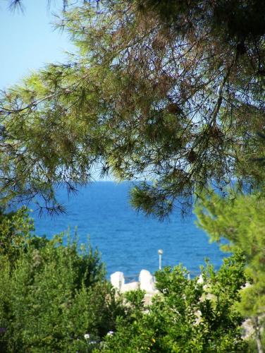 Tenuta Molino Di Mare 