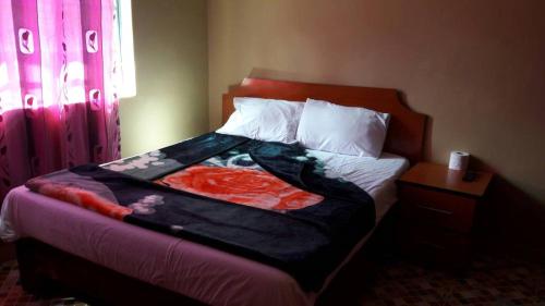 New Nkhwazi Lodge (نیو نخوازی لاج) 